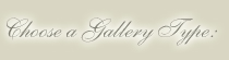 Choose a gallery