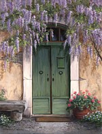 Wisteria Over The Door